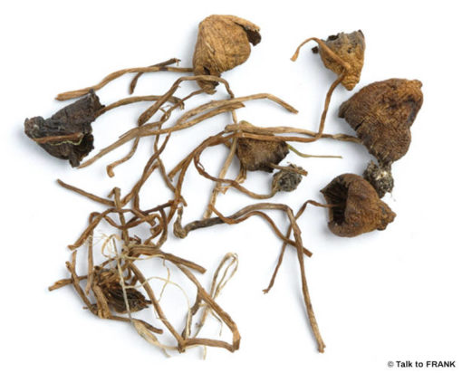 Buy LIBERTY CAP online